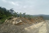 Bán nhanh mảnh đất tại Thung Nai, Cao phong, Hòa Bình